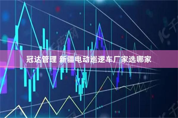 冠达管理 新疆电动巡逻车厂家选哪家