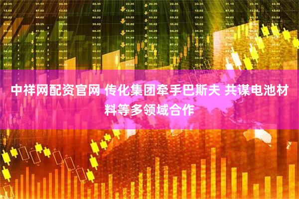 中祥网配资官网 传化集团牵手巴斯夫 共谋电池材料等多领域合作